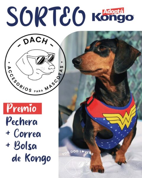 Sorteo Kongo: Participá y ganá premios para tu mascota