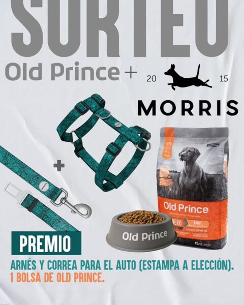Ganá una bolsa de alimento Old Prince, un comedero y un kit de arnés con correa para auto