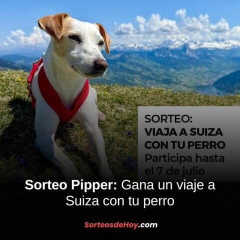 Sorteo Pipper on Tour 2025: Gana un viaje a Suiza con tu perro (España)
